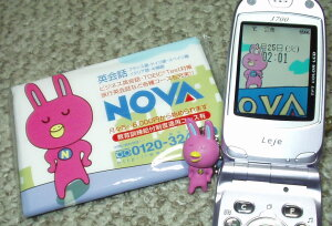 ＮＯＶＡうさぎグッズ！